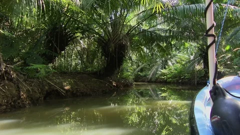By boat through the canals of the Quebrada river Stock Footage 91194691