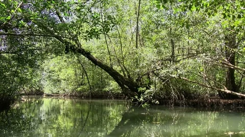 By boat through the canals of the Quebrada river Stock Footage 91194808