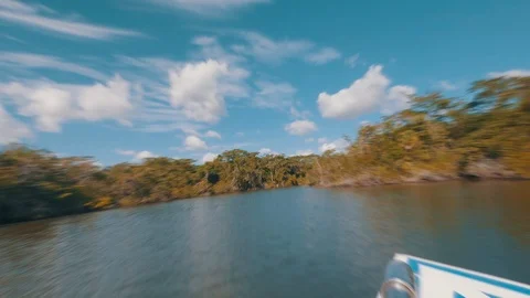 Boat Through Jungle River Hyper-Lapse Stock Footage