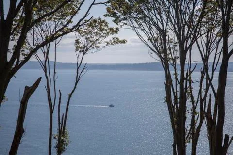 Boat Through Trees Stock Photos