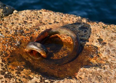 Boat Tie Up Ring 스톡 사진