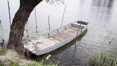Boat tied to a tree on the river Stock-Footage 76430700