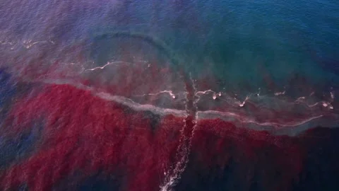 Boat top view Stock Footage 147693516