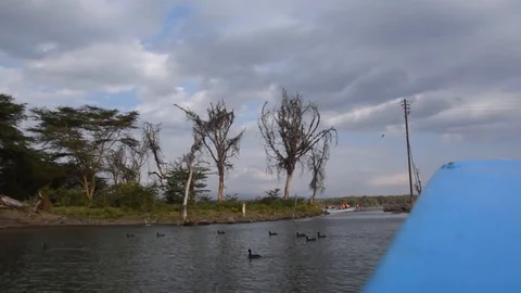 Boat tour Video stock 91691736