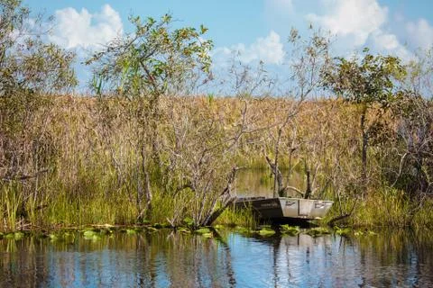 Boat tour through the marsh in the Everglades National Park, Florida Stock Photos