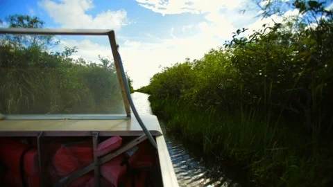 Boat travelling down a tree lined river. Stock Footage 88405600