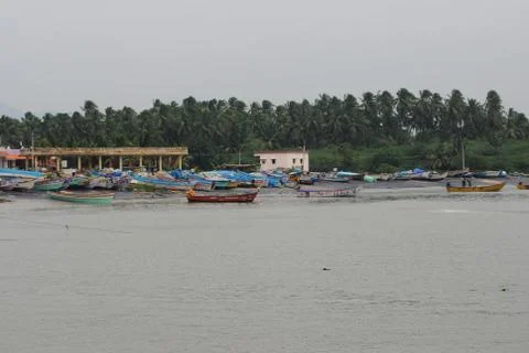 Boat with tree Stock Photos
