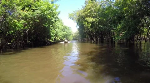 Boat Trip At the Amazon River in South America, Brazil Vídeos de archivo 54584007