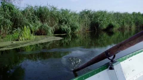 Boat trip and rowing in summer on the river. Leisure Stock Footage 159700645
