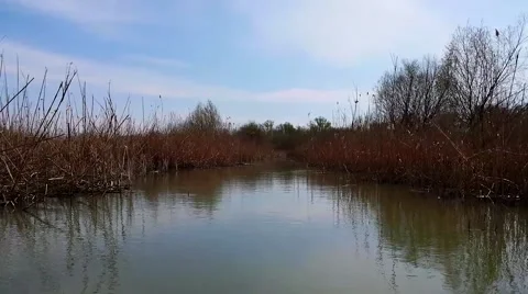 Boat trip in Danube Delta 動画素材 42753473