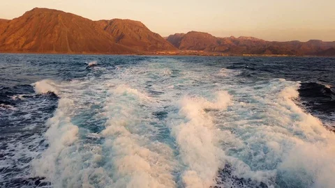 Boat trip at dawn Stock Footage 128387514