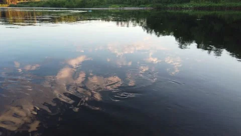 Boat trip down the river. Reflection of trees and sky in the river Video stock 136228614