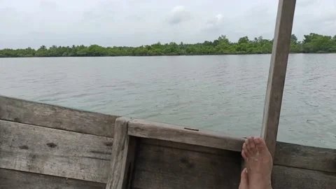 Boat trip driving on small river with mangrove forest Stock Footage 237016730
