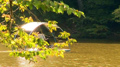 Boat Trip 動画素材 73312429