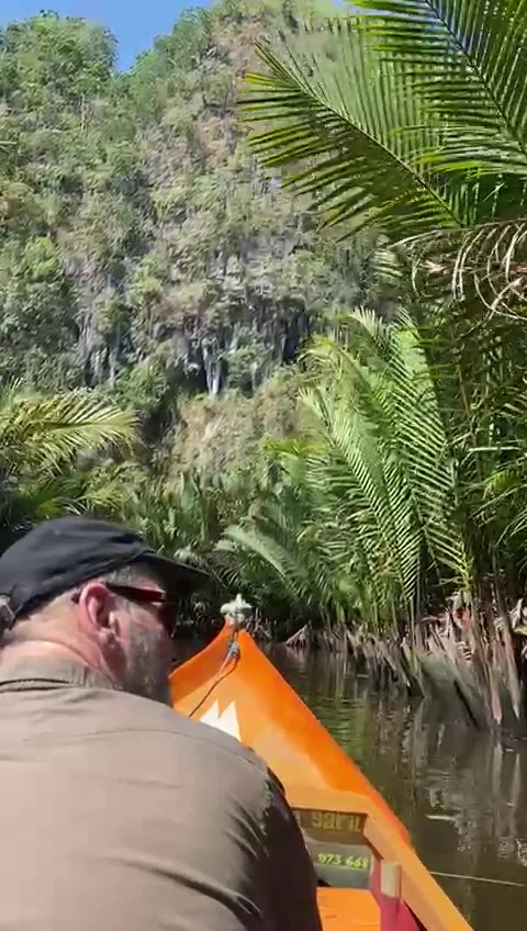 Boat trip Stock Footage 316735281