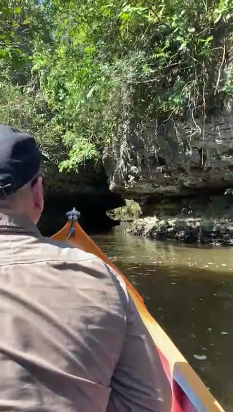 Boat trip Stock Footage 316735283