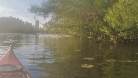 Boat under tree Stock Footage 226607866