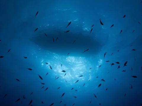 Boat by undersea Stock Photos
