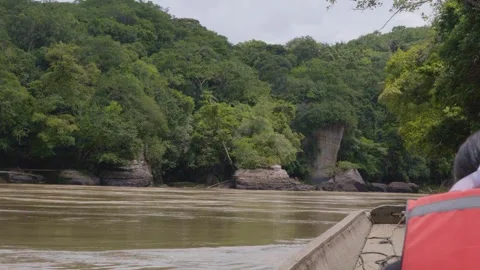 Boat View Along the Guaviare River Surrounded by Lush Forest Video stock 336520544