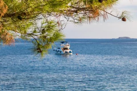Boat view between trees Photos