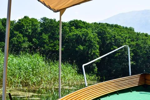 Boat view on the bilrush plants in while flowing on the river 스톡 사진