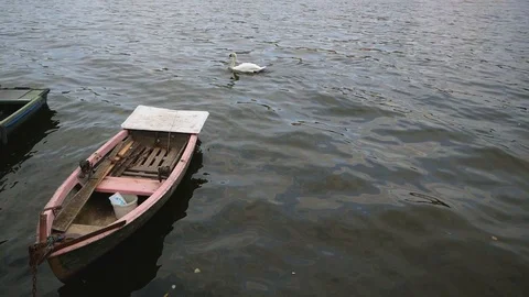 Boat in Vltava Stock Footage 88630375