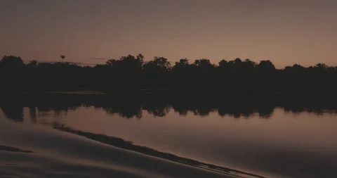 Boat Wake on the Amazon River at Sunrise Stock Footage 307039103