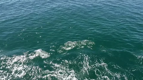 Boat wake on Bosphorus water surface in Istanbul Turkey Vídeos de archivo 331674522