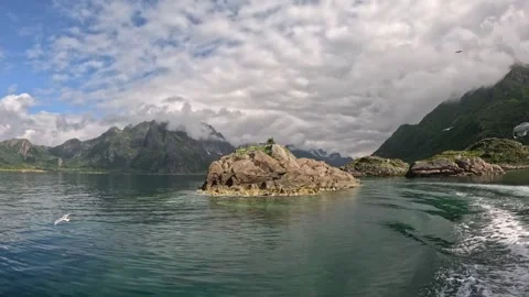 Boat wake navigating past rocky islet with flying seagulls in Lofoten Stock-Footage 344453290