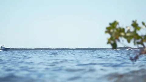 Boat On The Water With Branch In Foreground Видео 129615089