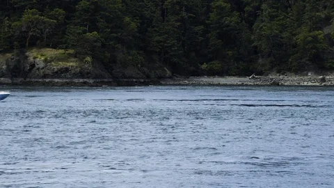 Boat in water at Deception Pass Bridge State Park Washington Stock Footage 73526583
