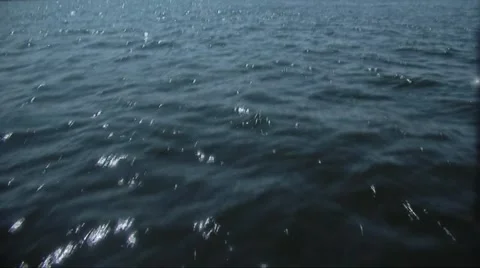 On a boat on water Stock Footage 1808173