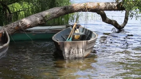 Boat on water, tree and waves. Stock Footage 83015432