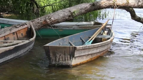 Boat on water, tree and waves. Stock Footage 83015456