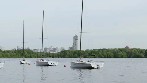 A boat with a white sail floating on the lake under a clear sky. Stock Footage 198381803