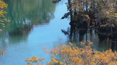 Boat on Winding Spring River at Morrison Springs Видео 331316960