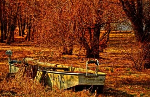 Boat in the woods Stock Photos
