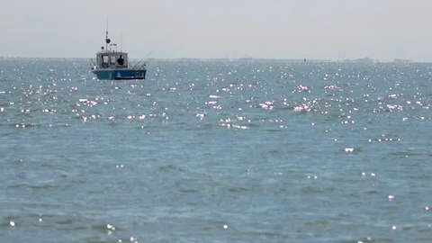 Boat04 Stock Footage 80824574