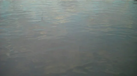 BoatDriveBy Vidéo 640359