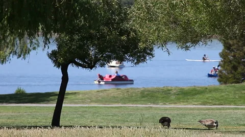 Boaters at the park Stock Footage 4814973