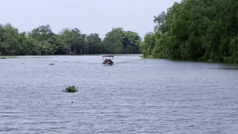 Boating adventure tranquil river nature escape scenic view serene environment Video stock 334157555