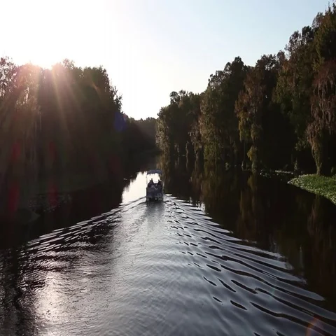 Boating on the beautiful Withlacoochee River Vídeo Stock 69298508