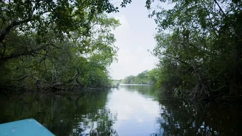 Boating Down Tropical Jungle River Stabilized Footage 4K 스톡 동영상 94468969