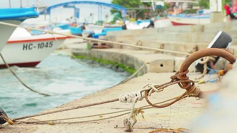 Boating 動画素材 78069051