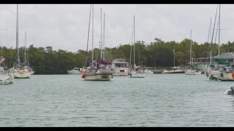 Boating Harbour Sailing Key Biscayne Miami Stock Footage
