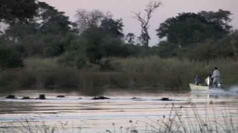 Boating by Hippos - Part 2 Stock Footage 8997837
