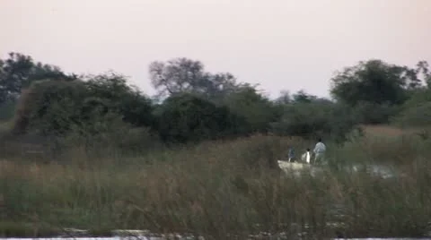 Boating by Hippos - Part 3 Video stock 8997836