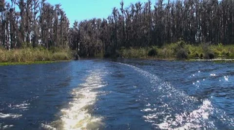 Boating on the Lake 1 of 3 Stock Footage 8841386