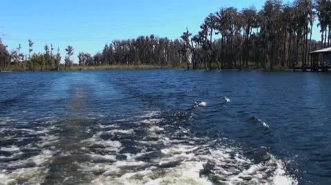 Boating on the Lake 3 of 3 Stock Footage 8845194