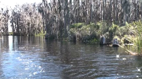 Boating on a Lake in Florida Vidéo 8841166